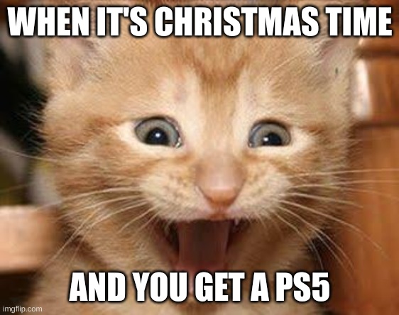 Everyone when they get a PS5 | WHEN IT'S CHRISTMAS TIME; AND YOU GET A PS5 | image tagged in memes,excited cat,ps5,christmas,december,consoles | made w/ Imgflip meme maker