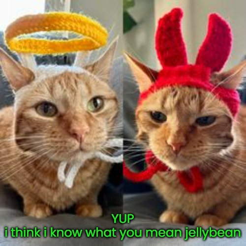 YUP
i think i know what you mean jellybean | made w/ Imgflip meme maker