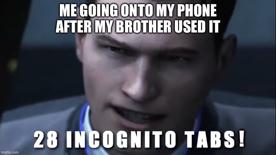 What. Did. You. Search. Up? | ME GOING ONTO MY PHONE AFTER MY BROTHER USED IT; ! | image tagged in 28 incognito tabs | made w/ Imgflip meme maker