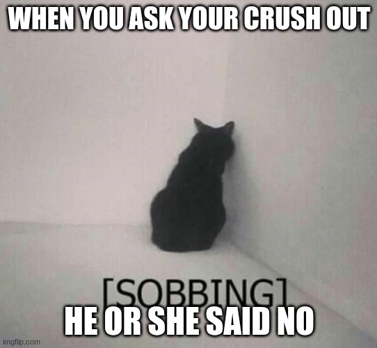 Sadness | WHEN YOU ASK YOUR CRUSH OUT; HE OR SHE SAID NO | image tagged in sobbing cat | made w/ Imgflip meme maker