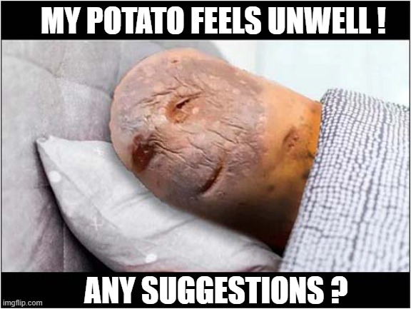 Silly Answers Only Please ! | MY POTATO FEELS UNWELL ! ANY SUGGESTIONS ? | image tagged in potato,sick,suggestions | made w/ Imgflip meme maker