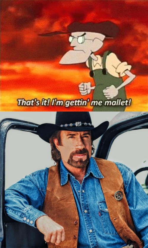 image tagged in mallet,chuck norris cool,slavic | made w/ Imgflip meme maker