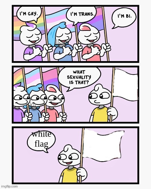 What Sexuality Is That? | white flag | image tagged in what sexuality is that | made w/ Imgflip meme maker