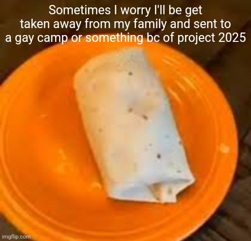 JimmyHere Burrito | Sometimes I worry I'll be get taken away from my family and sent to a gay camp or something bc of project 2025 | image tagged in jimmyhere burrito | made w/ Imgflip meme maker