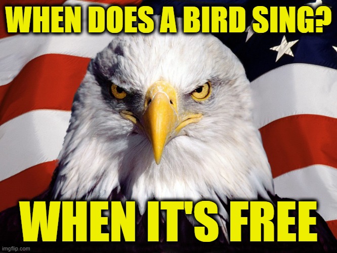 Freedom Eagle | WHEN DOES A BIRD SING? WHEN IT'S FREE | image tagged in freedom eagle | made w/ Imgflip meme maker