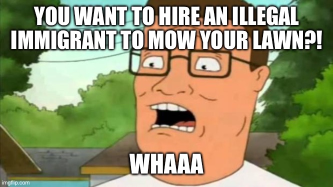 Hank hill | YOU WANT TO HIRE AN ILLEGAL IMMIGRANT TO MOW YOUR LAWN?! WHAAA | image tagged in hank hill | made w/ Imgflip meme maker