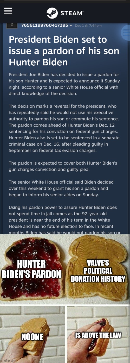 VALVE'S POLITICAL DONATION HISTORY; HUNTER BIDEN'S PARDON; IS ABOVE THE LAW; NOONE | image tagged in inside out peanut butter and jelly sandwich | made w/ Imgflip meme maker