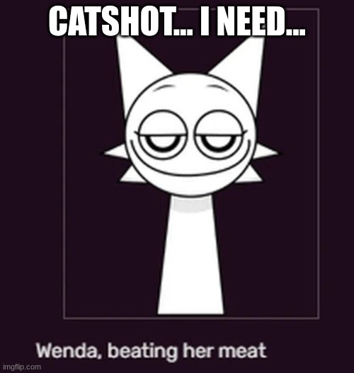 Smug ahh look | CATSHOT... I NEED... | image tagged in smug ahh look | made w/ Imgflip meme maker