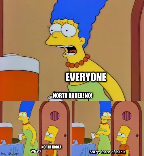 Simpsons bart no | EVERYONE; NORTH KOREA! NO! NORTH KOREA | image tagged in simpsons bart no | made w/ Imgflip meme maker