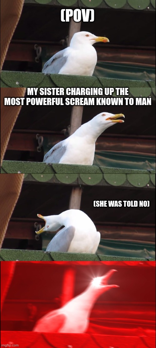 my sister charging her scream | (POV); MY SISTER CHARGING UP THE MOST POWERFUL SCREAM KNOWN TO MAN; (SHE WAS TOLD NO) | image tagged in memes,inhaling seagull | made w/ Imgflip meme maker