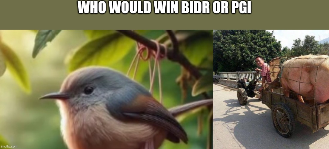 WHO WOULD WIN BIDR OR PGI | made w/ Imgflip meme maker