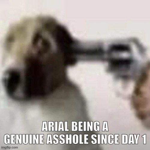 dog gunpoint | ARIAL BEING A GENUINE ASSHOLE SINCE DAY 1 | image tagged in dog gunpoint | made w/ Imgflip meme maker