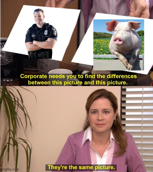 Same picture | image tagged in memes,they're the same picture | made w/ Imgflip meme maker