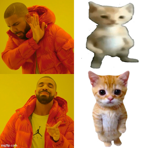 Drake Hotline Bling Meme | image tagged in memes,drake hotline bling,cat,meme,el gato,cats | made w/ Imgflip meme maker