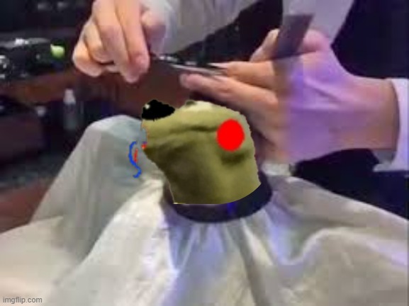 . | image tagged in haircut monkey | made w/ Imgflip meme maker