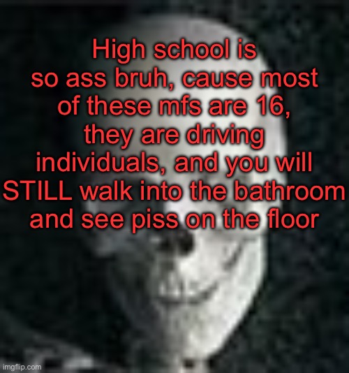 . | High school is so ass bruh, cause most of these mfs are 16, they are driving individuals, and you will STILL walk into the bathroom and see piss on the floor | image tagged in skull | made w/ Imgflip meme maker