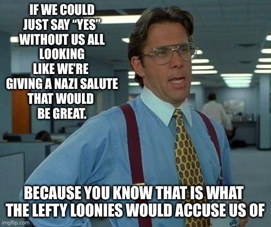 That Would Be Great Meme | IF WE COULD
JUST SAY “YES”
WITHOUT US ALL
LOOKING LIKE WE’RE 
GIVING A NAZI SALUTE
THAT WOULD 
BE GREAT. BECAUSE YOU KNOW THAT IS WHAT 
THE  | image tagged in memes,that would be great | made w/ Imgflip meme maker