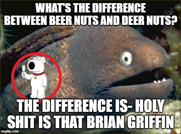 holy shit is that brian griffin | image tagged in holy shit is that brian griffin | made w/ Imgflip meme maker