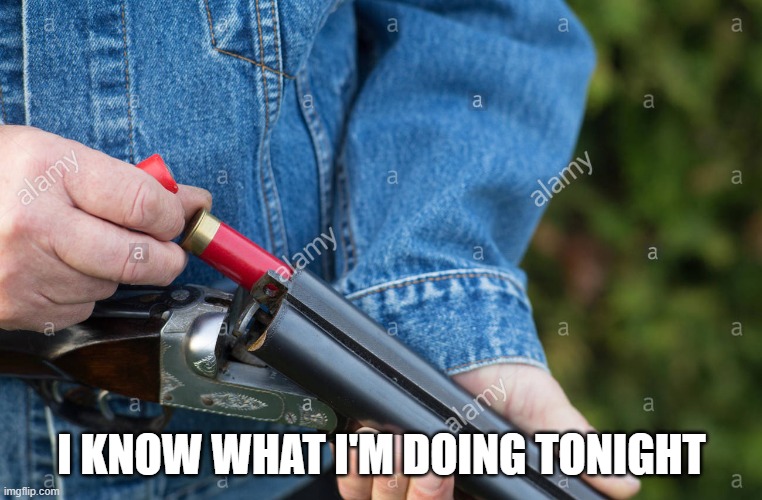 I KNOW WHAT I'M DOING TONIGHT | image tagged in man loading shotgun | made w/ Imgflip meme maker