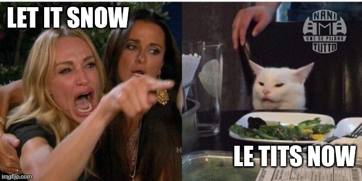 white cat table | LET IT SNOW; LE TITS NOW | image tagged in white cat table | made w/ Imgflip meme maker