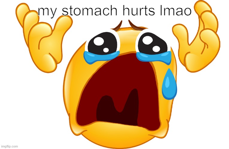 WHY | my stomach hurts lmao | image tagged in why | made w/ Imgflip meme maker