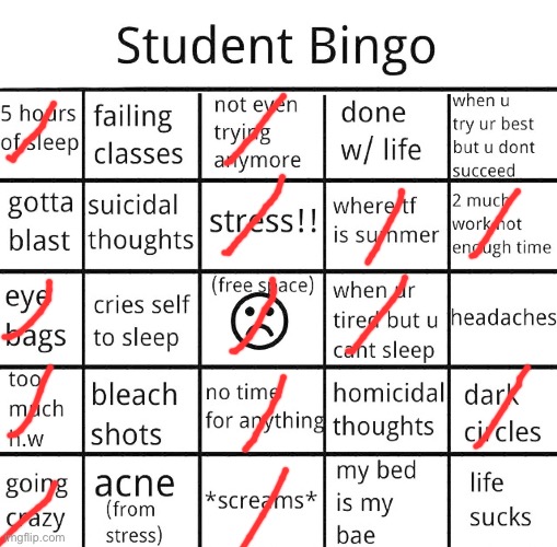 student bingo | image tagged in student bingo | made w/ Imgflip meme maker