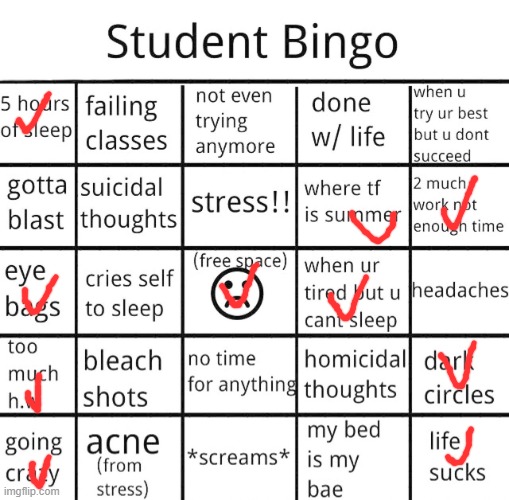 student bingo | image tagged in student bingo | made w/ Imgflip meme maker