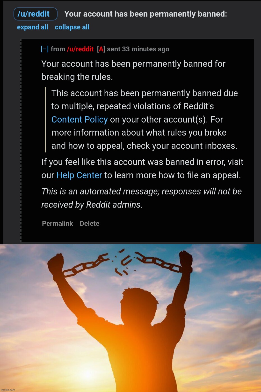 I got banned from reddit | image tagged in breaking chains | made w/ Imgflip meme maker