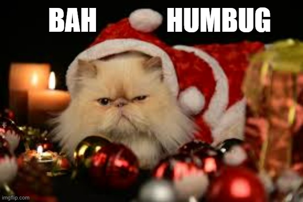 memes by Brad - Grumpy cat say "Bah Humbug" for Christmas. | BAH             HUMBUG | image tagged in cats,funny,kittens,christmas,merry christmas,humor | made w/ Imgflip meme maker