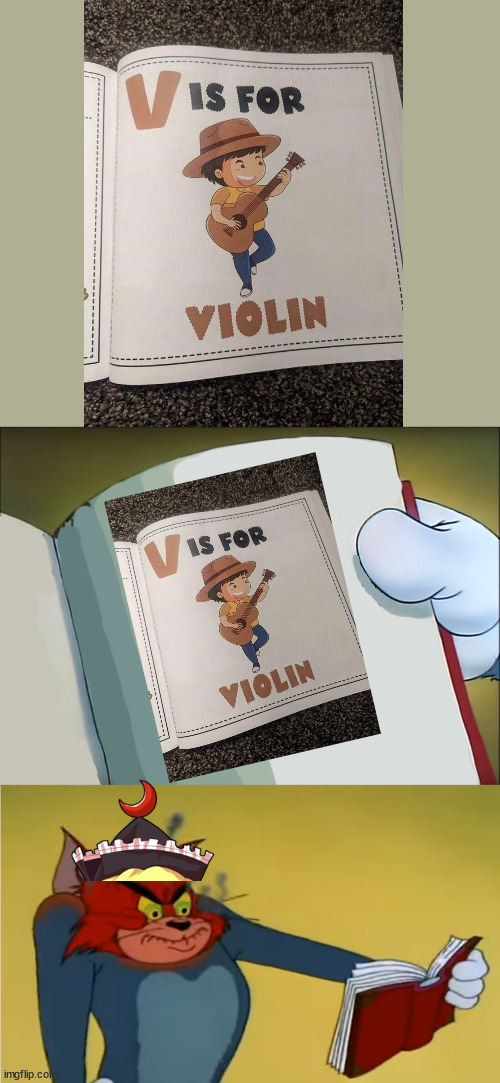 That's not a violin. | image tagged in angry tom reading book,violin,guitar,helm gnaw,book,hold up wait a minute something aint right | made w/ Imgflip meme maker