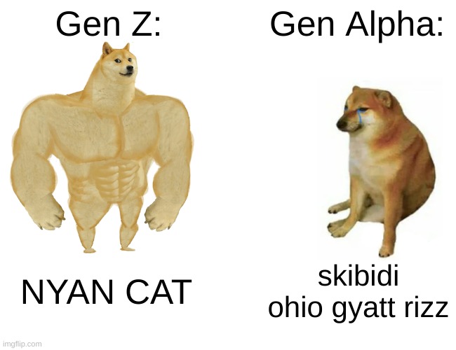 Gen Z vs Gen Alpha Part 2: | Gen Z:; Gen Alpha:; NYAN CAT; skibidi ohio gyatt rizz | image tagged in memes,buff doge vs cheems | made w/ Imgflip meme maker