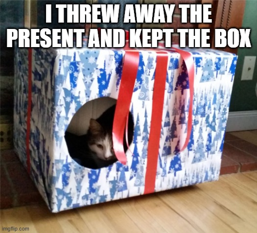 memes by Brad - My cat threw away the Christmas present and kept the box | I THREW AWAY THE PRESENT AND KEPT THE BOX | image tagged in cats,funny,kittens,christmas presents,christmas,santa claus | made w/ Imgflip meme maker