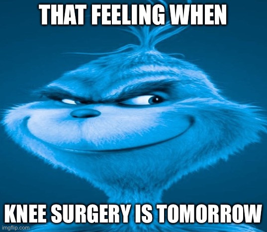 Blue Grinch | THAT FEELING WHEN; KNEE SURGERY IS TOMORROW | image tagged in blue grinch | made w/ Imgflip meme maker