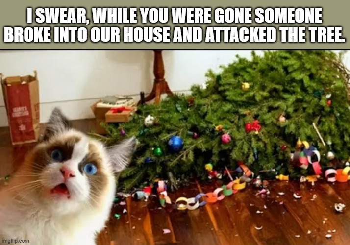 memes by Brad - Cat says someone broke into the house and attacked the tree | I SWEAR, WHILE YOU WERE GONE SOMEONE BROKE INTO OUR HOUSE AND ATTACKED THE TREE. | image tagged in cats,funny,kittens,christmas tree,christmas,santa claus | made w/ Imgflip meme maker