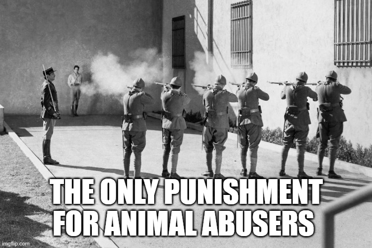 fight me about it, you cowards | THE ONLY PUNISHMENT FOR ANIMAL ABUSERS | image tagged in firing squad,kill them all | made w/ Imgflip meme maker