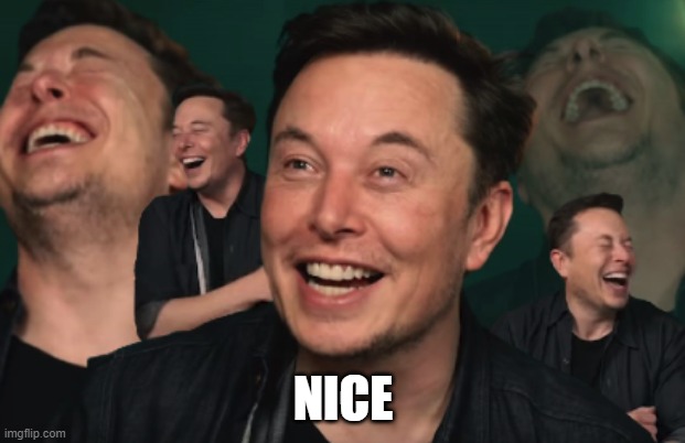 Elon Musk Laughing | NICE | image tagged in elon musk laughing | made w/ Imgflip meme maker