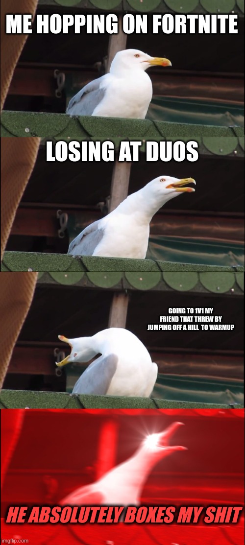 Why does this always happen? | ME HOPPING ON FORTNITE; LOSING AT DUOS; GOING TO 1V1 MY FRIEND THAT THREW BY JUMPING OFF A HILL  TO WARMUP; HE ABSOLUTELY BOXES MY SHIT | image tagged in memes,inhaling seagull,fortnite,funny,for real | made w/ Imgflip meme maker