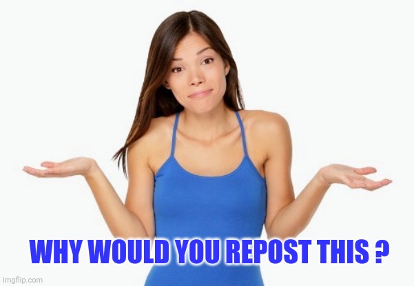 WHY WOULD YOU REPOST THIS ? | made w/ Imgflip meme maker