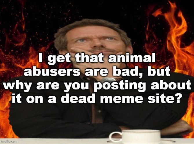 And further all, why MSMG? | I get that animal abusers are bad, but why are you posting about it on a dead meme site? | image tagged in dr house md | made w/ Imgflip meme maker