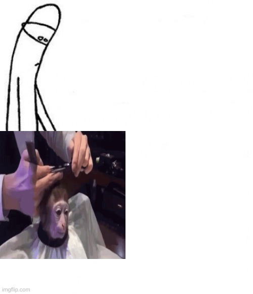 Monkey Haircut | image tagged in c'mon do something | made w/ Imgflip meme maker