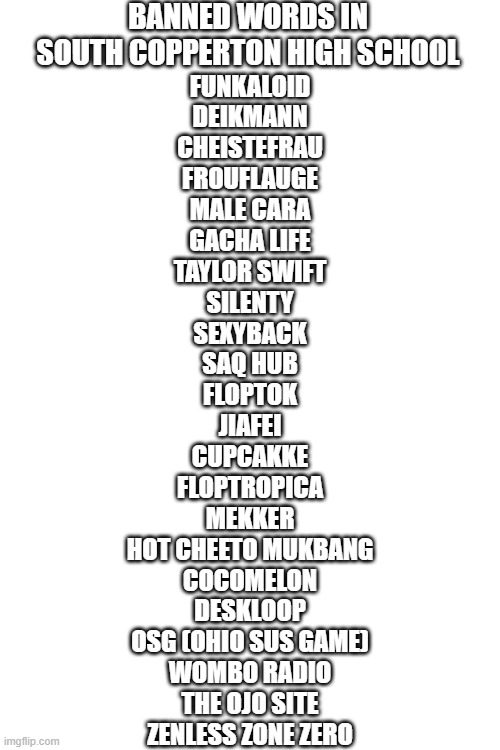 MC and William's school banned these words | BANNED WORDS IN SOUTH COPPERTON HIGH SCHOOL; FUNKALOID
DEIKMANN
CHEISTEFRAU
FROUFLAUGE
MALE CARA
GACHA LIFE
TAYLOR SWIFT
SILENTY
SEXYBACK
SAQ HUB
FLOPTOK
JIAFEI
CUPCAKKE
FLOPTROPICA
MEKKER
HOT CHEETO MUKBANG
COCOMELON
DESKLOOP
OSG (OHIO SUS GAME)
WOMBO RADIO
THE OJO SITE
ZENLESS ZONE ZERO | image tagged in school,banned words | made w/ Imgflip meme maker