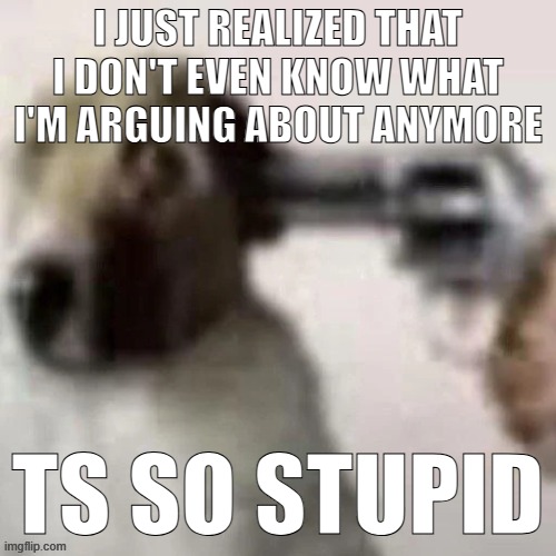dog gunpoint | I JUST REALIZED THAT I DON'T EVEN KNOW WHAT I'M ARGUING ABOUT ANYMORE; TS SO STUPID | image tagged in dog gunpoint | made w/ Imgflip meme maker