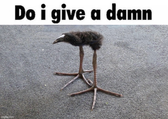 image tagged in do i give a damn blank | made w/ Imgflip meme maker