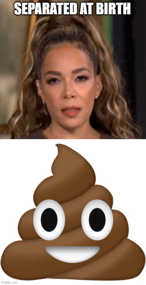 Sunny Hostin -- Always Talking S*** | SEPARATED AT BIRTH | image tagged in sunny hostin | made w/ Imgflip meme maker