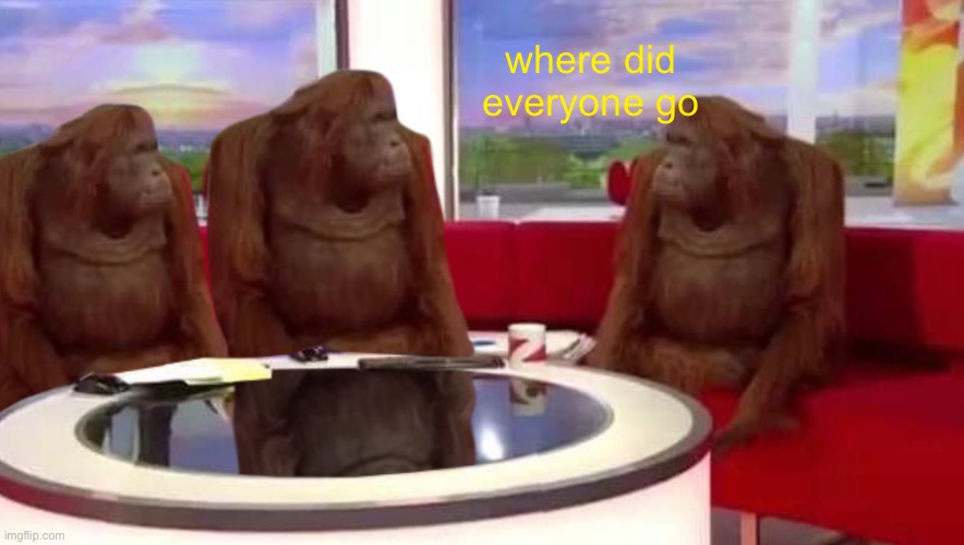 where | where did everyone go | image tagged in where monkey | made w/ Imgflip meme maker