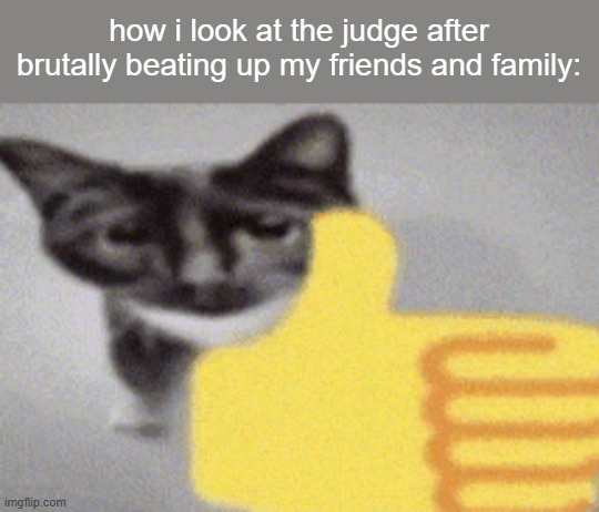 /j /j /j /j /j /j /j | how i look at the judge after brutally beating up my friends and family: | image tagged in thumbs up cat | made w/ Imgflip meme maker