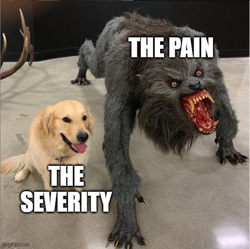 Sometimes a small injury can hurt like heck. | THE PAIN; THE SEVERITY | image tagged in dog vs werewolf | made w/ Imgflip meme maker