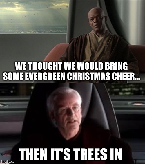 Should I have used bad pun doggo instead? | WE THOUGHT WE WOULD BRING SOME EVERGREEN CHRISTMAS CHEER…; THEN IT’S TREES IN | image tagged in mace windu jedi council,it's treason then,bad pun | made w/ Imgflip meme maker