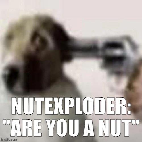 dog gunpoint | NUTEXPLODER: "ARE YOU A NUT" | image tagged in dog gunpoint | made w/ Imgflip meme maker