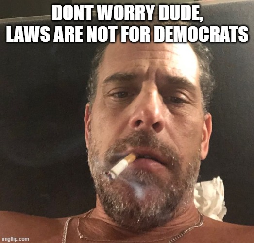 Hunter Biden | DONT WORRY DUDE, LAWS ARE NOT FOR DEMOCRATS | image tagged in hunter biden | made w/ Imgflip meme maker